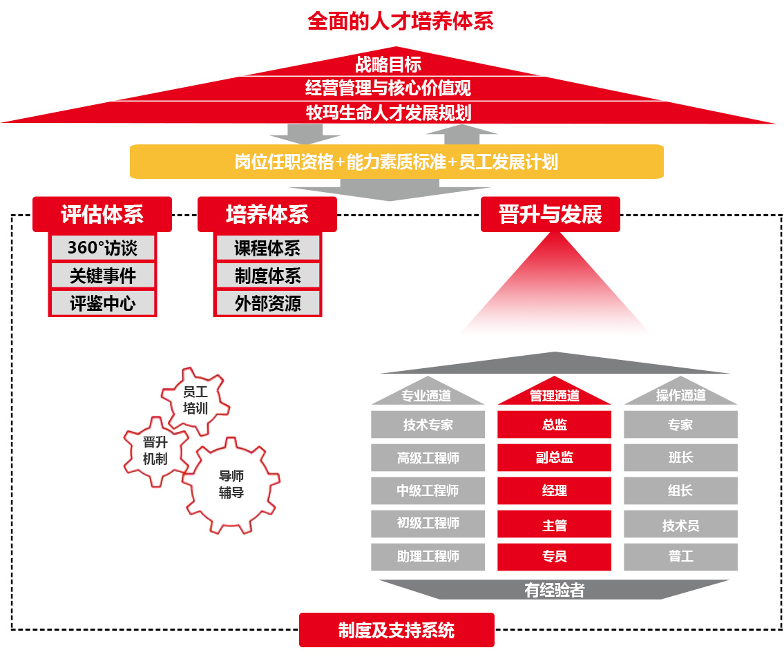 全面的人才培养体系